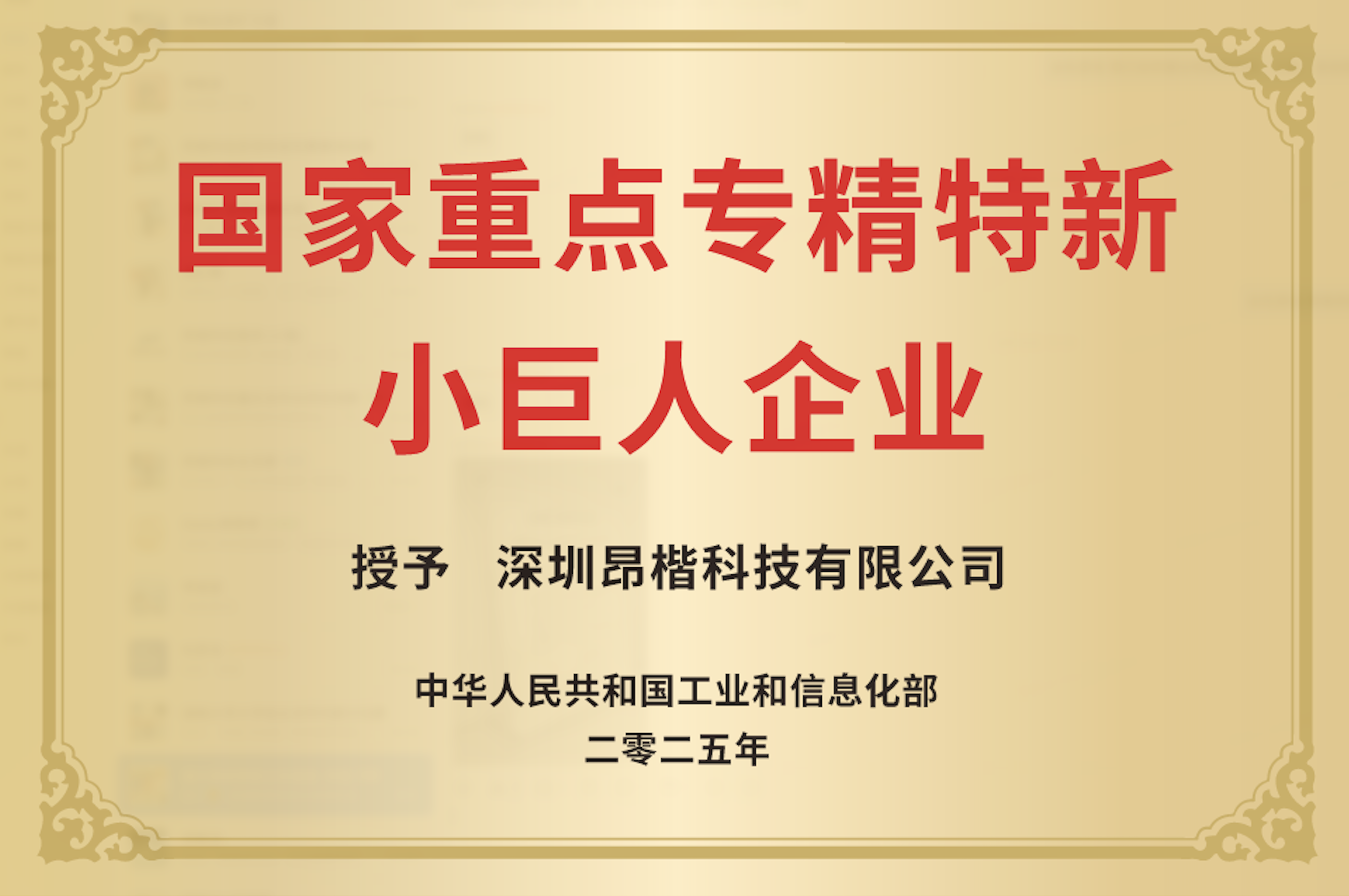 國家重點專精特新小巨人企業(yè)